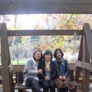 아리실 이미지