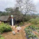 광성펜션 2 이미지