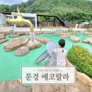 문경 에코랄라 후기 거미열차 꿀잼