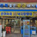 전복품은돼지 이미지