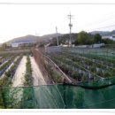 해룡농장 이미지