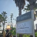 겔랑제주 풀빌라 | 제주도 감성 숙소 겔랑제주 풀빌라 독채에서 2박3일 보내기🌴