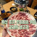 금돼지생고기 | 울산 삼산동 꼬들목살 맛집 솔직후기 [금돼지 생고기]