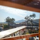 발효명가 도원한의원 | 경주 노경보차라파, SNS 핫플 카페 분위기 맛집