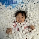 푸른꿈어린이집 놀이터 이미지