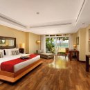 산드라니 이미지