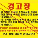 성일스티카