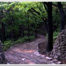 (주)솔마루 이미지