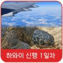 민균농장 | [신혼여행] 하와이 신혼여행 9박 10일 1일차❤