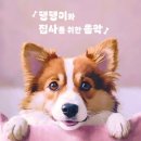 레아 이미지
