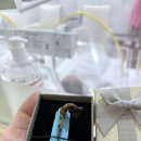 주식회사 아이소리산후조리원 | 동탄 아이소리산후조리원 20박 21일 찐 후기..