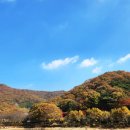 대봉사슴 이미지