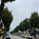 친절한 금자밥상 이미지