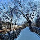 봉선사[부평-2] 이미지