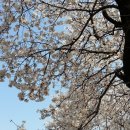 창원대로 이미지