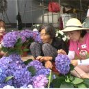 김숙농장 이미지