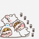 지그미 이미지
