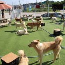 너와함개냥 이미지