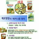 독일건강식품