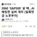 2060 'S&amp;P500' 살 때…AI 베팅한 실버 개미 [일확연금 노후부자] 이미지