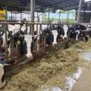 해남목장 이미지