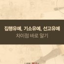 가능보석 이미지