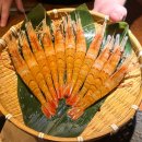 (주)두리번 | 신사 스시리카이, 츠마미 코스 구성이 매달 바뀌는 스시 오마카세 맛집 후기