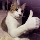 꽃과샘산부인과의원 | [임신기록_13주 ~ 16주] 15주 성별 확인 | 16주 기형아 검사 | 임산부 일본 여행 | 임산부 운전 연수