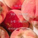 뷰티스튜디오모립 이미지