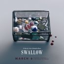 스왈로우 이미지