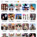 성우약국 | [리옹 교환학생]프랑스 일상으로 돌아온 평범한 #11월🦥