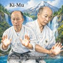Supplementary Notes for the 7 Parts of Meta-Language of JSKR Haedong Kumdo 이미지