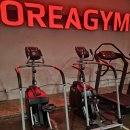 코리아 짐 이미지