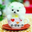 좋은사람 이미지