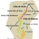 [슥쳐다보는 간단 와인 이야기] 1st. Cote de Nuits & Cote de Beaune _ 부르고뉴 양대산맥 이미지