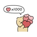 마이독 프리미엄 펫 스튜디오 이미지