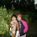 주인농장 이미지