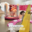국립부산과학관 예약 특별전시회 Are You Ready? ‘과학으로 보는 스포츠 &amp; 무료전시 싸이파이스마일 후기