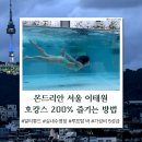 이태원 몬드리안 호텔 뽕 뽑기| 실내외 수영장 &amp; 프리빌리지 바 후기