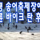 얼음골송어 이미지