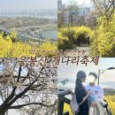 가야벽산상가 | 응봉산 개나리 축제 실시간 후기 2026 개화현황 만개 시기 총정리 (서울 봄 명소 추천)