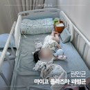 콜록콜록 마이코플라즈마 폐렴의 모든 것