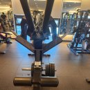 디짐(남산점) | 대구 중구 남산역 헬스장 디짐 남산점 후기 테르주 시타델 머신 있는 기구 맛집