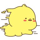 병아리약국 이미지