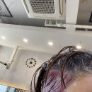 시크릿투톤/ 애쉬핑크 염색 후기 ! 핑크머리 추천해 말아..?