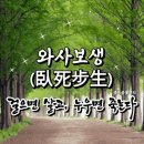 #와사보생 (臥死步生) 이미지