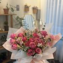 호노보노