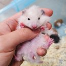 (주)모프 이미지