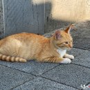 천등산(평택) 이미지