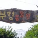 부경1